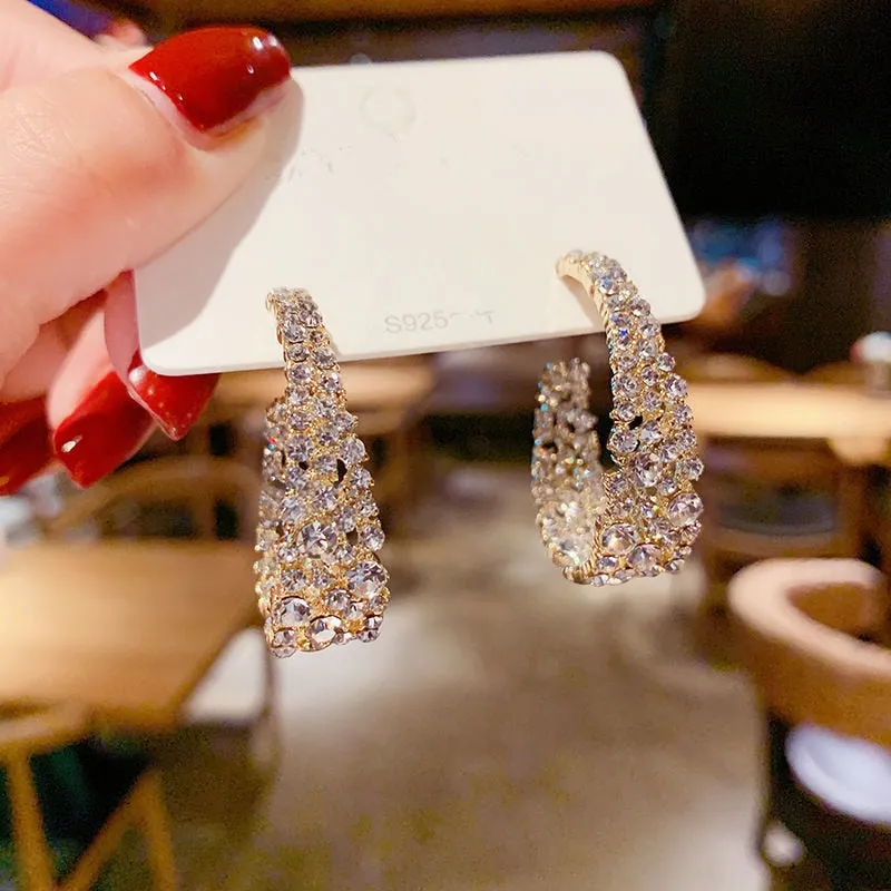 Lucinda's Sparkling Statement Earrings